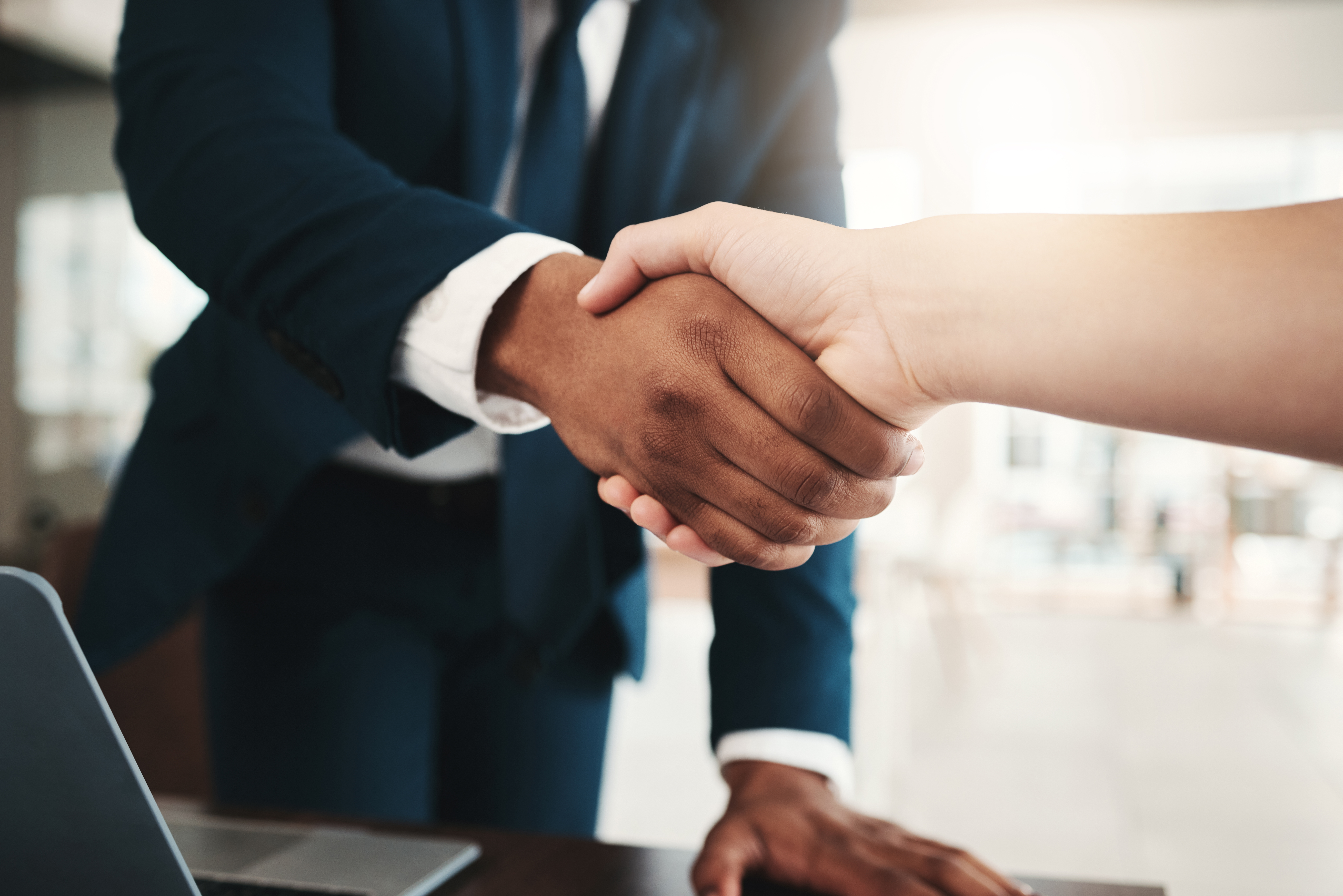 Business professionals shaking hands